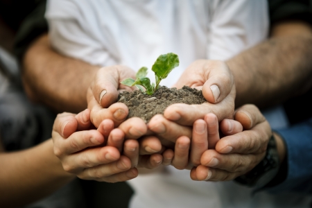 Hands of farmers family holding a young plant in hands