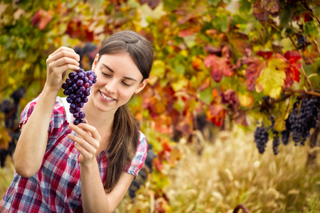 
young woman with  bunch of red grapeの写真素材