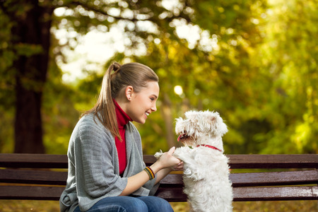 Young woman playing with her puppy in autumn park