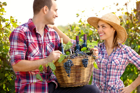 Couple of winegrowers holding full wicker basket in vineyardの写真素材