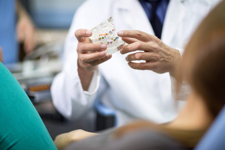 Close up of dentist holding model of teeth with colorful bracesの写真素材
