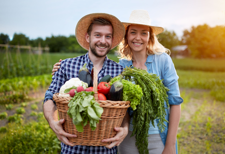 Farmers couple in garden with basket full of vegetablesの写真素材