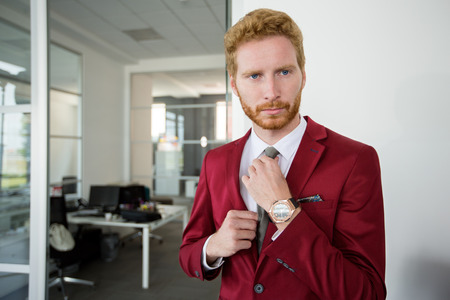 portrait of businessman in a suit for a business meetingの写真素材