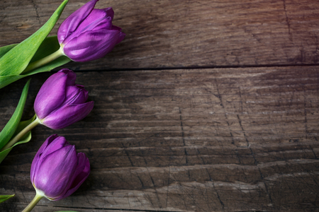 close-up purple tulips on wooden background with copy spaceの写真素材