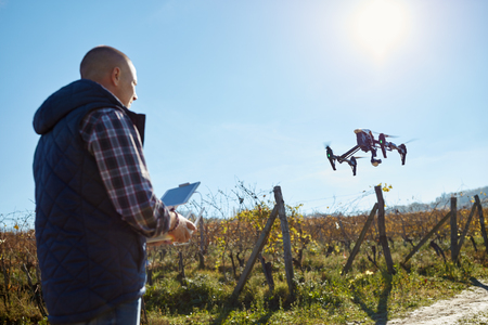 Man in vineyard control drone from ground