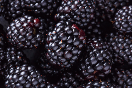 close up fresh ripe blackberry background