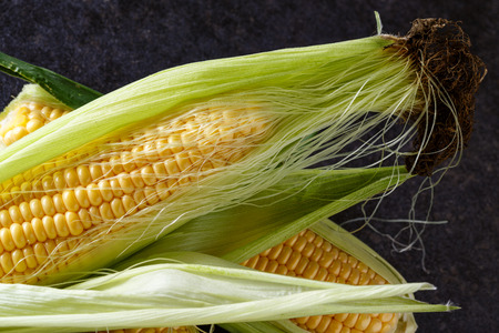 Fresh corn on cobs on black background, close-up
の写真素材