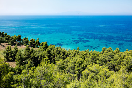 Top view on clear seaside and green Mediterranean forestの写真素材