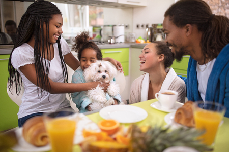 Family together in kitchen for breakfast enjoying with little dogの写真素材