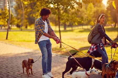 Professional Dog Walker - Happy group of dogs with couple dog walker enjoying in walk city.