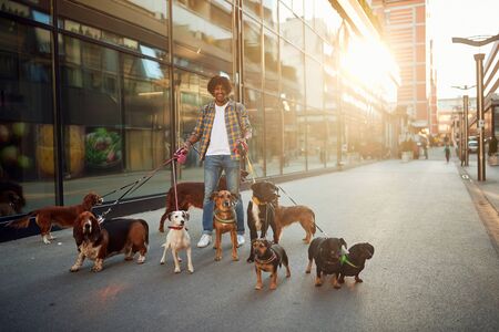 Smiling young man playing with their dog while out on a walkの写真素材