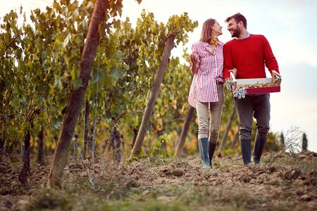 Smiling couple walking in between rows of vinesの写真素材