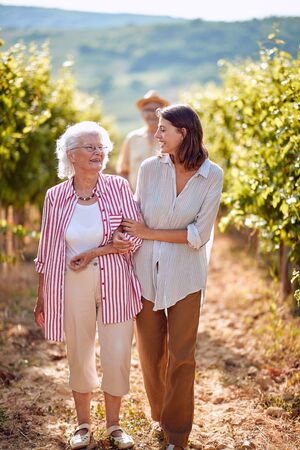 Grape Vineyard fields. Grape harvesting. family in autumn vineyardの写真素材