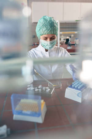 scientict in lab analysis of new corona virus, clinic laboratory chemical research of infection. Covid-19 concept.の写真素材