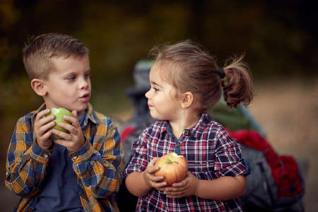 Preschool brother and sister eating apple on a picnicの写真素材