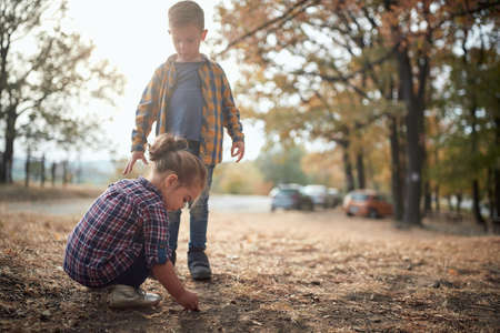 Preschool brother and sister playing in the woods togetherの写真素材