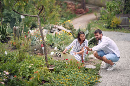 Male visitor and female guide studying the plants at botanical gardenの写真素材