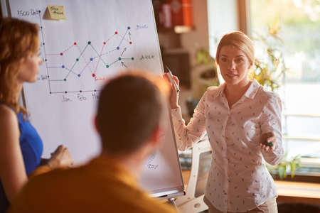 Young lovely female colleage holding presentation at the office
