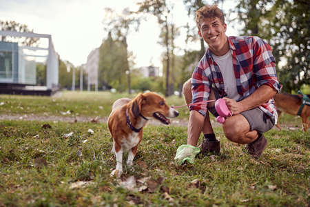 Male owner picking up dog's feces in the park; Dog owner lifestyleの写真素材