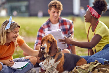 A cute dog enjoys cuddling by young girl while sitting on the grass on a beautiful day in the park. Friendship, rest, pets, picnicの写真素材