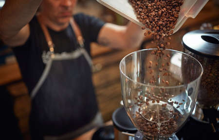 A barmen is pouring fragrant and aromatic roasted coffee beans into the grinder apparatus. Coffee, beverage, producingの写真素材