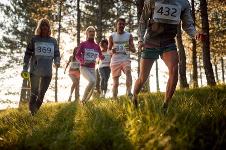 Close-up of a group of athletes running the marathon through the forest on a beautiful sunny day. Nature, marathon, athletesの写真素材