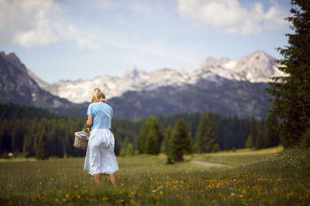 Rear view shot of young blonde woman walking in grass with picnic basket. Outdoors, casual, holiday, nature concept.の写真素材