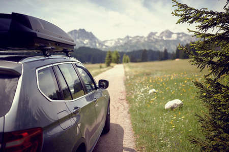 Rear view of car on the road. Green meadow and mountains in background. Transport, roadtrip, nature...
