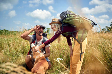 A young couple is in a good mood while walking a meadow on a beautiful sunny day with their dog. Hiking, nature, relationship, togetherの写真素材