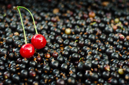 Lots of Blackcurrant with two with two cherries. Textured background.の写真素材