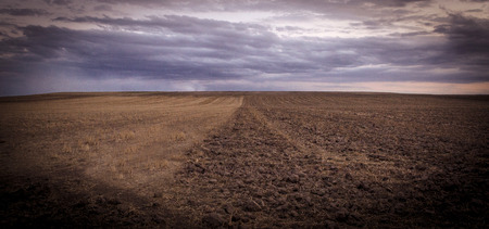 Empty, brown and cloudy fieldの写真素材