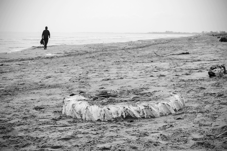 Wheel in the sand while a man passの写真素材