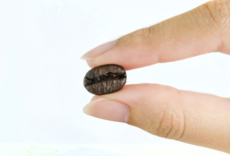 Bean seed in one hand の写真素材