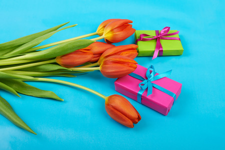 Flowers red tulips on blue sky background
