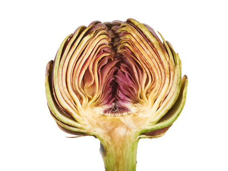 Beautiful Artichoke isolated on white background. Foodの写真素材