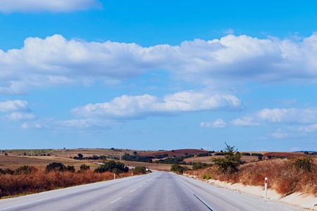 Asphalt road through the green field and clouds on blue sky in summer dayの写真素材