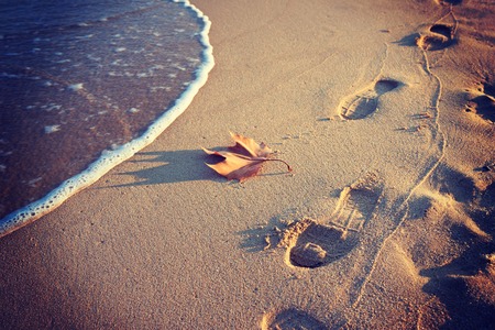 Footprints in the sand and dry autumn leavesの写真素材