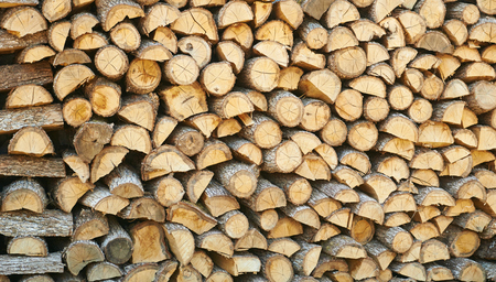 Preparation of firewood for the winter. firewood background, Stacks of firewood in the forest. Pile of firewood.の写真素材