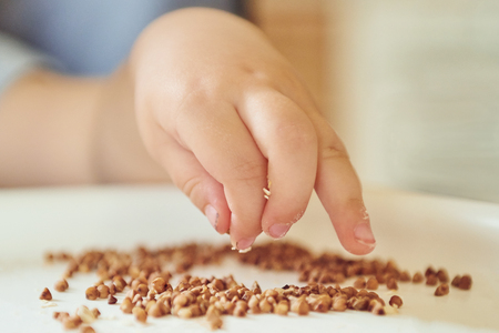children's hand touch the croup of buckwheatの写真素材