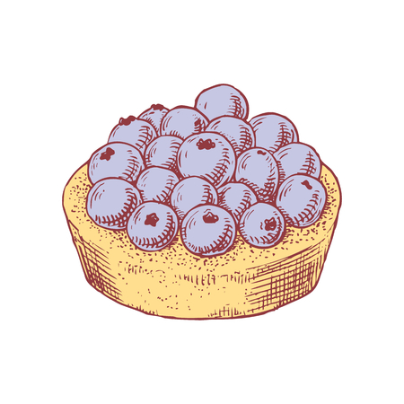 Delicious hand drawn tart with blueberries. Engraving style pen pencil painting retro vintage vector lineart colored illustration on white background. Sweet dessert.のイラスト素材