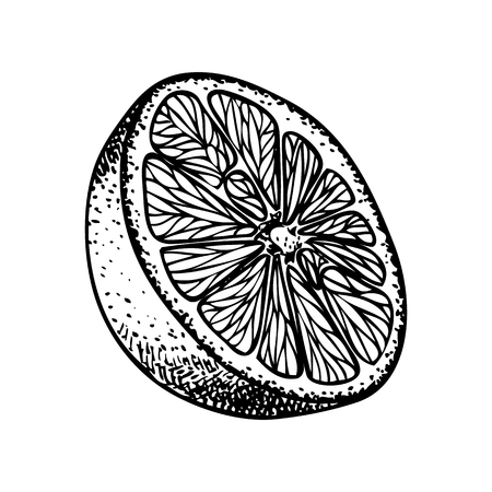 Fruit illustration with Orange in engraving stile. Sweet and fresh fruit element for menu, greeting cards, wrapping paper, cosmetics packaging, labels, tags, posters etcのイラスト素材