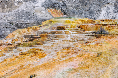 Mammoth Hot Springs, Yellowstoneの写真素材