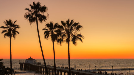 The Palm trees and Manhattan Beach Pier under a beautiful sunset Los Angeles California.の写真素材