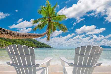 Beach chairs on sandy beach with palm and turquoise sea. Summer vacation and travel concept.の写真素材