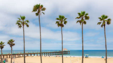 Palm trees and Pier on Manhattan Beach at sunny summer day in California, Los Angeles, USA.の写真素材