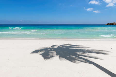 Coco palm shadow on white sand tropical beach.の写真素材