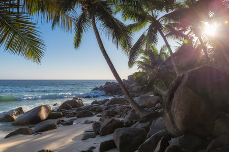 Tropical beach. Sandy beach with palm and turquoise sea. Summer vacation and tropical beach concept.の写真素材