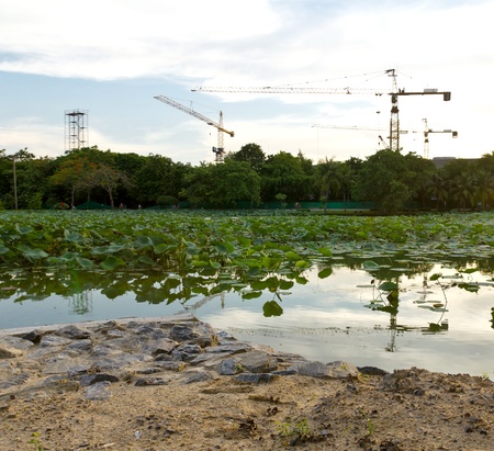 Crane and beautiful sunset near the lakeの写真素材