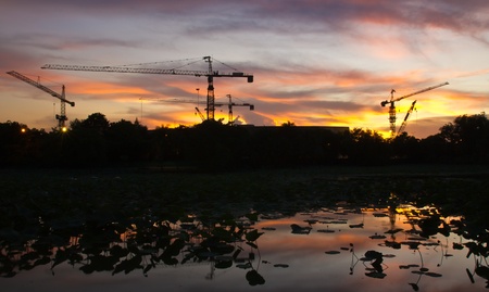 Crane and beautiful sunset near the lakeの写真素材