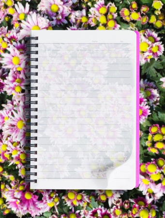 Flower paper background on flower in gardenのeditorial素材
